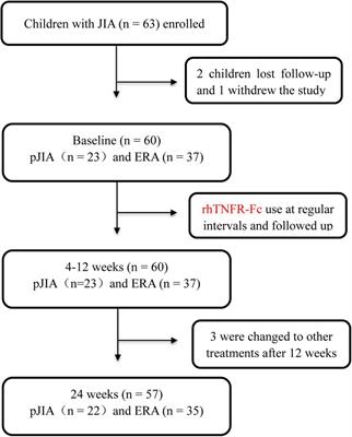 Efficacy and safety of etanercept biosimilar rhTNFR-Fc in Chinese patients with juvenile idiopathic arthritis: An open-label multicenter observational study